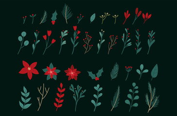 Big set of Christmas winter botanical elements. Winter botany. Winter leaves and flowers
