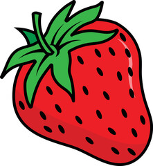Strawberry vector illustration. Fruit image or clip art.