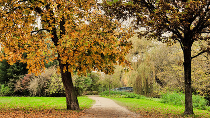 Naklejka premium autumn in the park