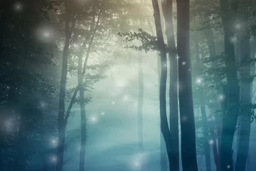 Crédence de cuisine en verre imprimé Forêt des fées magical forest background
