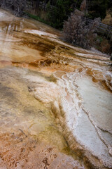 View of Mammoth Hot Springs in Yellowstone National Park