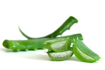 Slice Aloe Vera Aloe barbadensis Mill.,Star cactus, Aloe, Aloin, Jafferabad or Barbados very useful herbal medicine for skin care and hair care.
