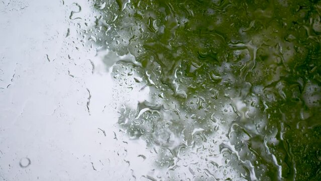 밑에서 바라보는 비내리는 창문 모습 riain windows