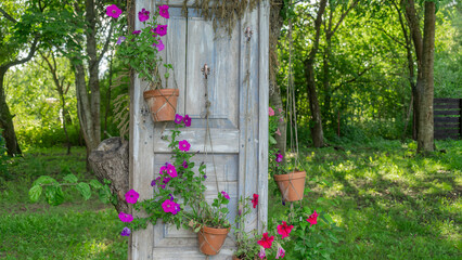 Flowers on the old door in the garden. Landscape design. A door whose frame is decorated with a multicolored flower.