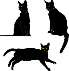 黒猫3ポーズセット①