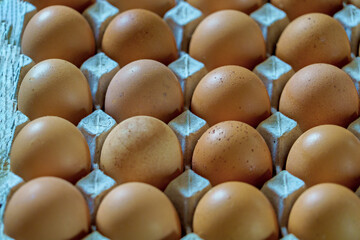 Chicken eggs in carton box.hen eggs.