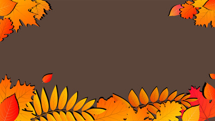 Autumn background in bright colors. Time of year September,October,November