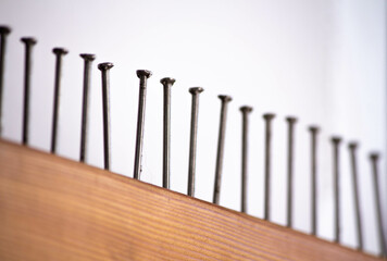Several nails hammered into a wooden board close-up. The view is tilted diagonally focus
