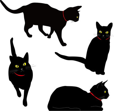 上目使い の画像 54 件の Stock 写真 ベクターおよびビデオ Adobe Stock