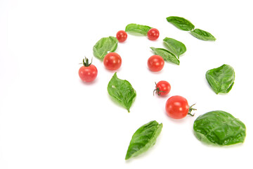 Mini tomatoes and basil isolated on white background. copy space.