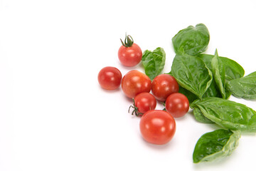 Mini tomatoes and basil isolated on white background. copy space.
