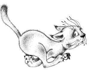 Frightened kitten running away