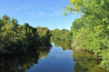 Fototapeta na wymiar Leito de um rio a passar por entre as árvores com espelho na água