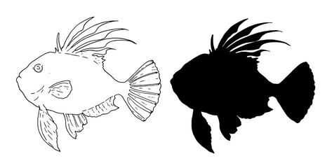 John Dory from a black silhouette, contour side view with spread fins and tail. a hand-drawn sketch in the style of John Dory sea fish for a design template isolated vector element of