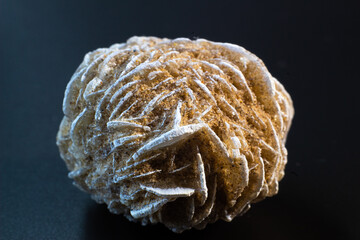 Desert rose, rock rose gypsum crystal cluster on black surface