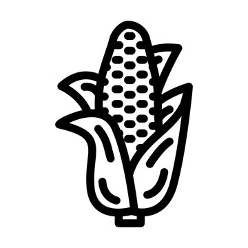 recommend clip art: corn plant line icon vector. corn plant sign. isolated contour symbol black illustration