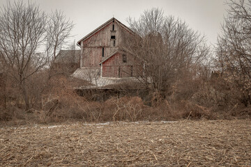 Abandoned Barn Almost Hidden From View