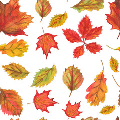 Seamless pattern with autumn watercolor leaves on a white background