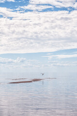 Beautiful landscape with water lake, cloudy sky and flying egret