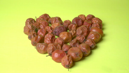 Indian jujube or ber or berry grown in the wild or jungle. Closeup of India fruit on beautiful background.