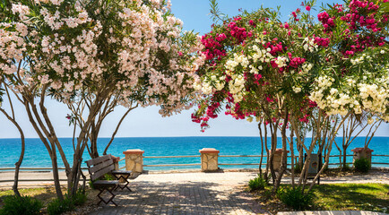 Beautiful resort promenade with blooming colorful oleanders against backdrop of Mediterranean Sea and blue sky. - obrazy, fototapety, plakaty