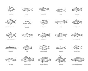 Types marine, ocean fish and Freshwater fish