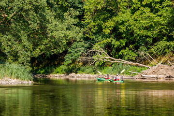 Fototapeta na wymiar Canoeing and kayaking on a river 