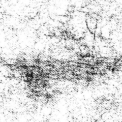 Abstract monochrome grunge texture. Vector background