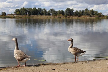 Paisajes