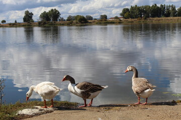 Paisajes