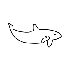 Killer whale color line illustration. Marine mammals.