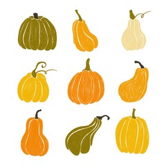 A set of cute colored pumpkins by hand drawing on white background. Elements for autumn decorative design, halloween invitation, harvest thanksgiving.