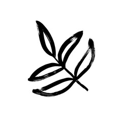 Hand drawn simple leaf isolated on white background. Botanical element for your design, logo, cards. Hand drawn grunge plant element painted with a brush. Ink drawing wild plant. Simple sketch