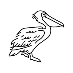 Pelican color line illustration. Marine mammals.