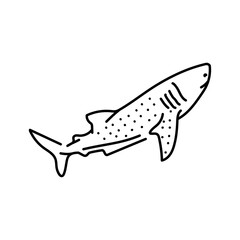 Whale shark color line illustration. Marine mammals.