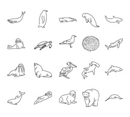 Sea animals line icons set. Isolated vector element. © Backwoodsdesign