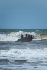 waves on the beach