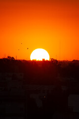 Photo of Sun landscape at dawn
