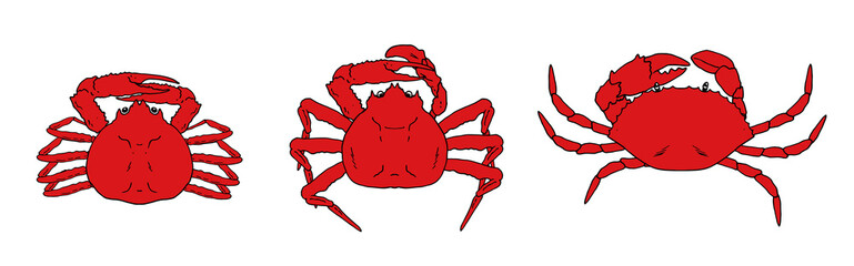 set of red crabs. A collection of elements of seafood CRABS, of different types and shapes, drawn in a sketch style, top view. isolated vector black on a white for a design template