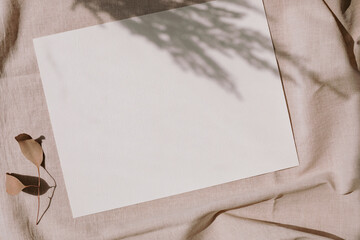 Blank a4 paper mock up with overlay pampas grass shadows. Stationery. Minimalistic workplace....