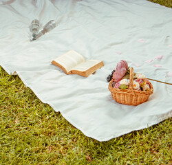picnic, libro, manta, sabana, cesta, comida, bebida, maleta, botellas, cesped, verde, colores,...