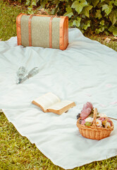 picnic, libro, manta, sabana, cesta, comida, bebida, maleta, botellas, cesped, verde, colores,...