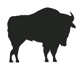wild buffalo silhouette style