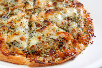 Baked Spinach with cheese delicious Italian food cuisine on a white plate
