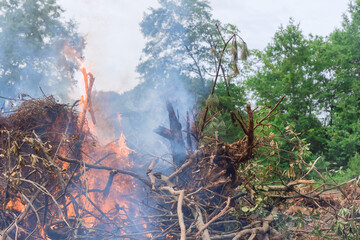 As part of the process of developing land for construction, forest is uprooted and burned to make way for development subdivision