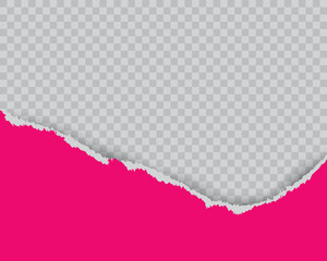 Pink Ripped Paper On Transparent Background. Frame. Vector Illustration