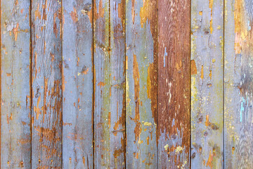 Background with the texture of an old wood planks