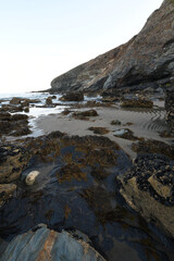 Fototapeta na wymiar Tregardock Beach the North Cornish Coast