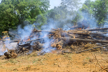 In order to develop land for construction, it is necessary to uproot and burn the forest in construction zone