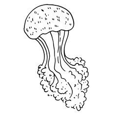 drawing of a jellyfish. a hand-drawn sea jellyfish in the style of a sketch with long tentacles with a pattern of dots and stripes highlighted with a black line on white for a design template
